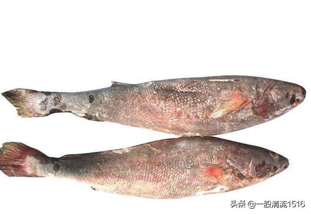 无锡市咸鱼咖啡店地址在哪里