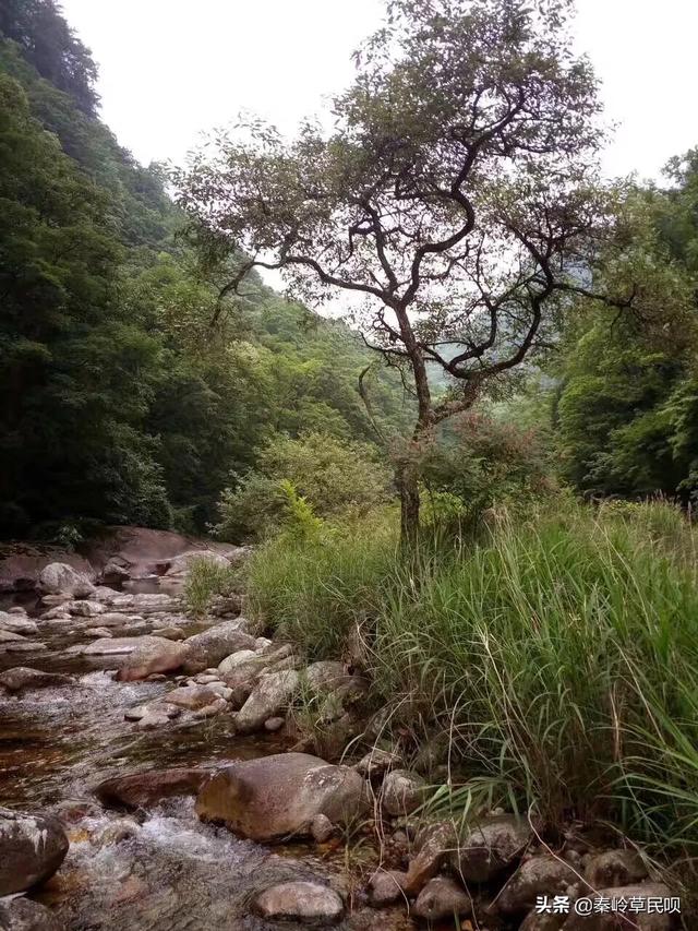 佛坪周边旅游景点大全， 佛坪周边旅游景点大全图片