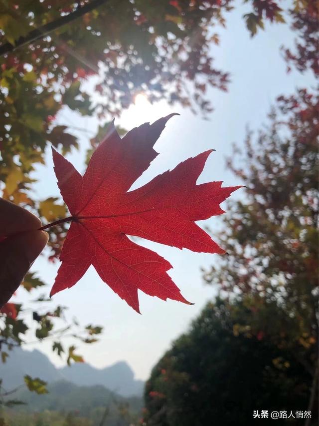 怎么让自己心情变好心态变好(图9)
