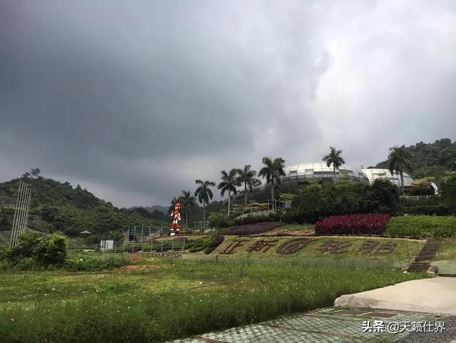 厦门集美一日游必去景点(图13)