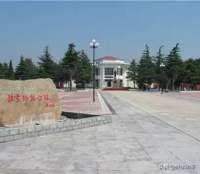 河南南阳哪个镇最大