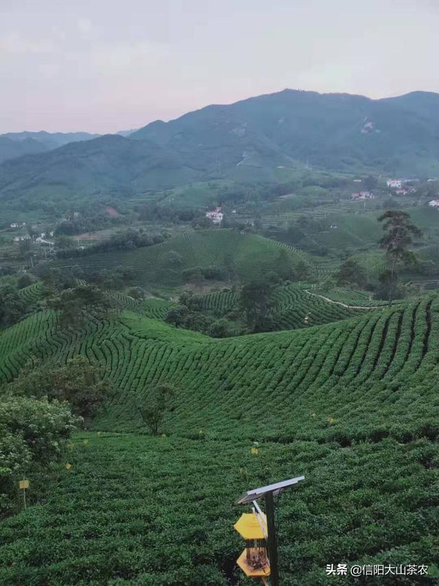 [景观设计方案思路]写旅游公园有什么思路？