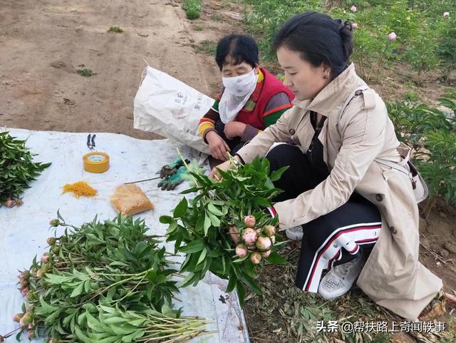 推动减税降费，安徽国家税务局助力中小企业发展，减税降费对中小企业发展