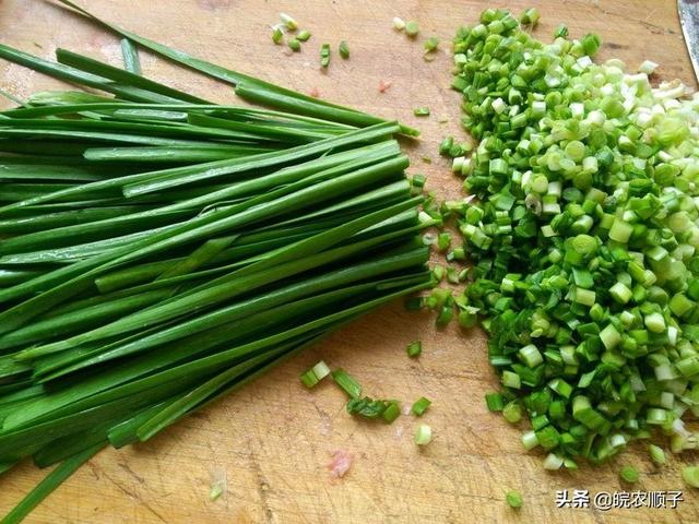 阳台韭菜种植技术,阳台韭菜种植技术视频