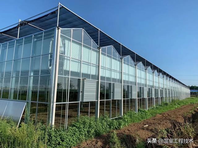 大棚建设预算明细表格 大棚的成本是多少？