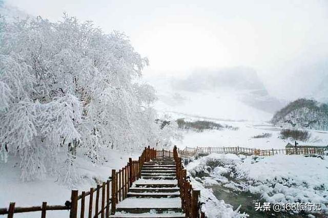 国内冬季旅游胜地前十名？：冬天什么地方旅游好