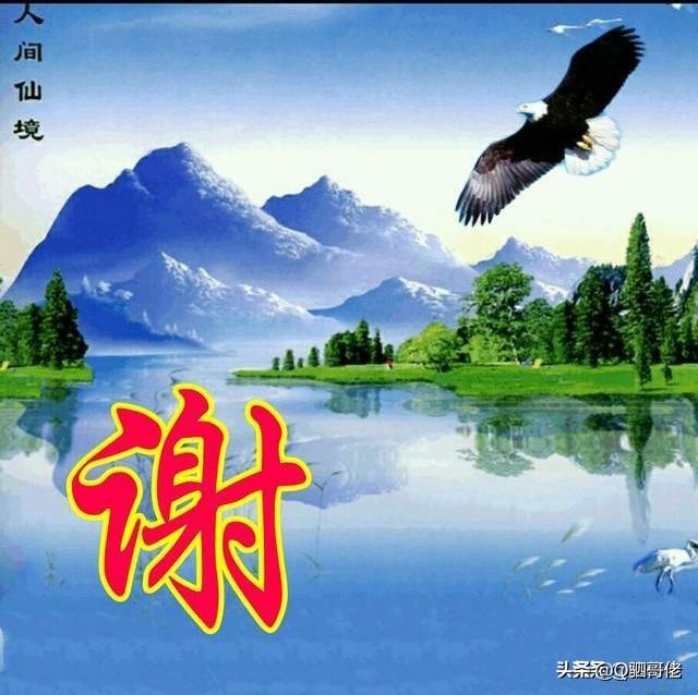 传奇大前锋小说 -- 传奇大前锋