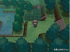 口袋妖怪黑2全神兽攻略 - 上下分岔