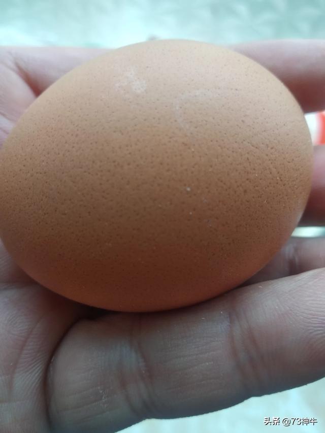 减肥最好的鸡蛋怎么吃(图29)