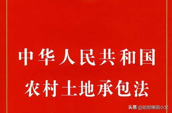 天津去哪个菜地进货便宜