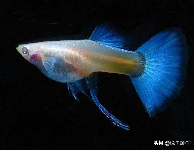 双胞胎待产时死亡率高吗