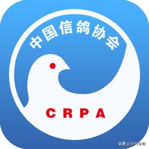 跨境社团申请书怎么写