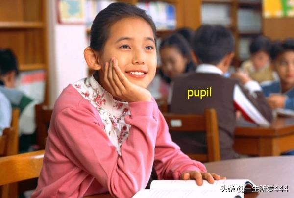 pupil英语怎么读(图1)