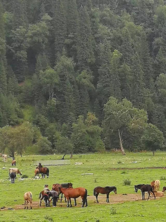 楚天九寨沟在哪里-湖北襄阳楚天九寨沟