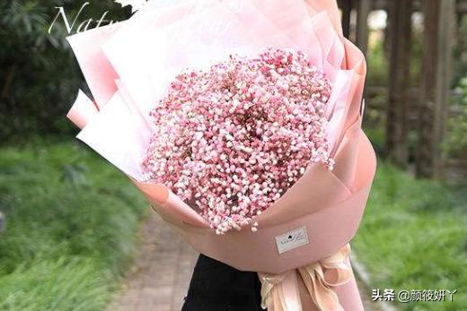 最全花语大全（花语大全 各种花）