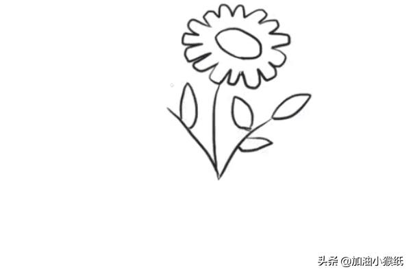 花的30种简笔画