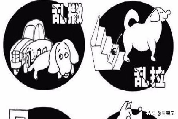 小区养小狗怎么投诉