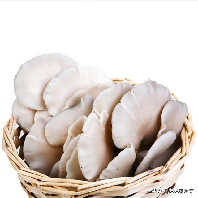 各种蘑菇怎么搭配最香好吃(图8)