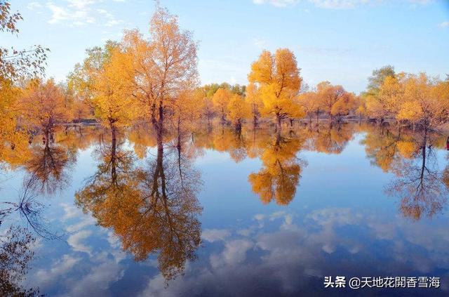浙江清净旅游景点大全排名， 浙江清净的旅游地方