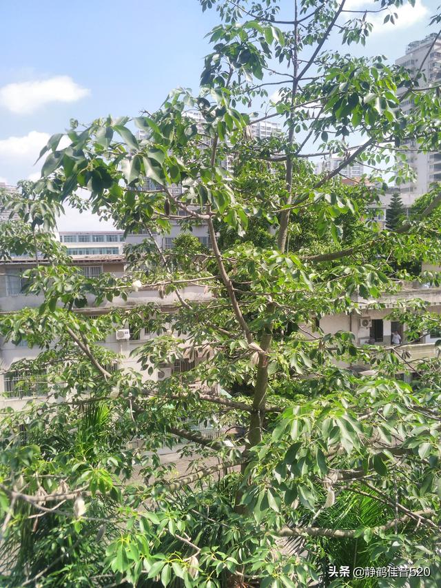 心想事成简短精辟句子，形容心情就在眼前的句子