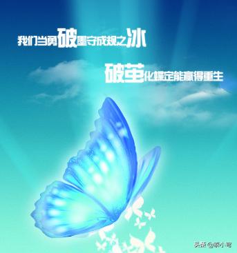 伪兄妹男主病态占有宠女主（伪兄妹男主病态偏执文）