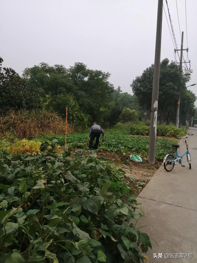 专家说降低粮食价格的原因，专家说降低粮食价格的原因是什么