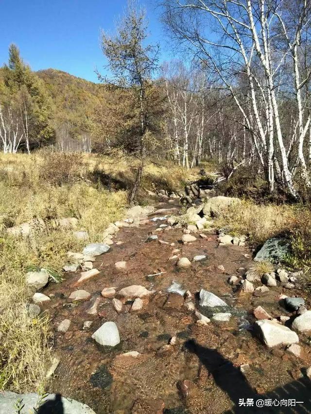 西坑到老街地铁路线，西坑到老街地铁路线图