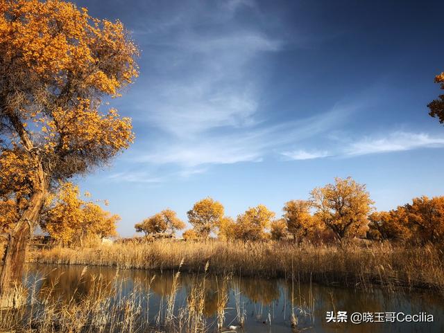 大理观海自驾游路线，大理观海自驾游路线图