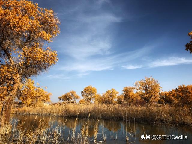 [普吉岛旅游攻略]单身男性泰国旅游全攻略？