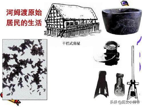 河姆渡原始饲养业是什么 内蒙古是河姆渡文化的发源地？