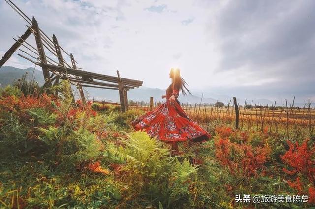 新疆旅游，新疆旅游攻略路线最佳路线及费用