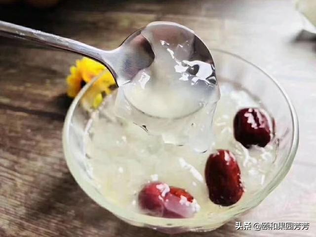 菜肴-菜肴是什么意思