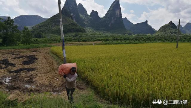 峨眉周庄旅游攻略路线， 峨眉周庄旅游攻略路线图