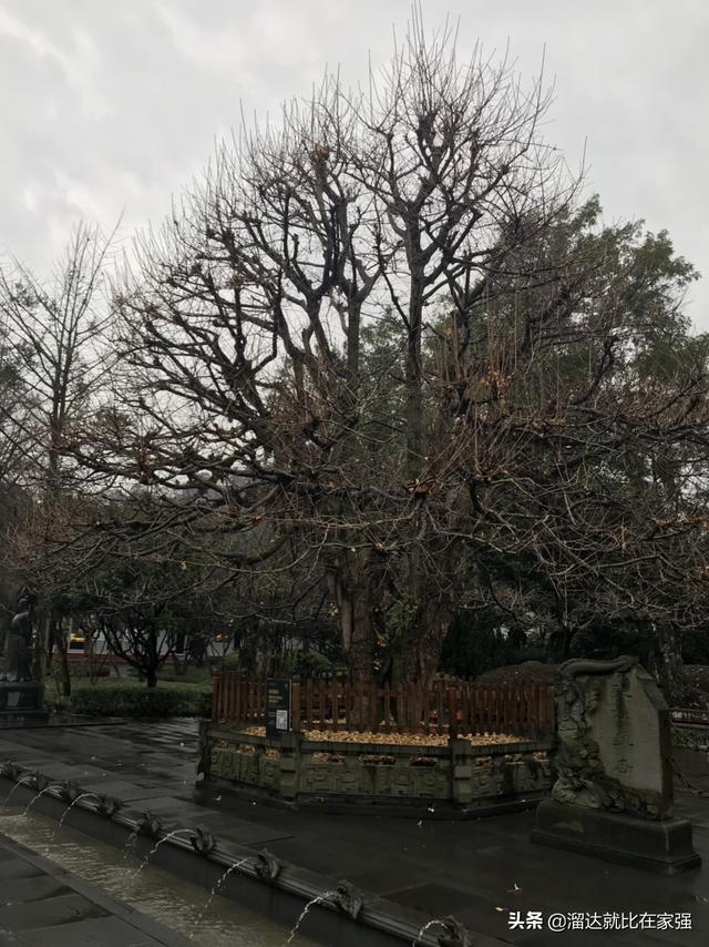 旅游怎样才可以节约钱