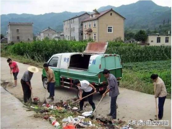 甘肃临洮花卉?甘肃临洮花卉基地参观!