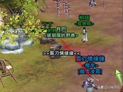 劍三寵物怎么抓?劍三寵物怎么抓啊!
