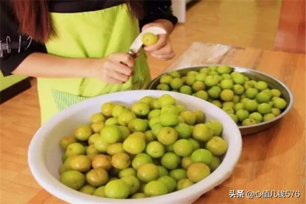 南宁市酸李子怎么做