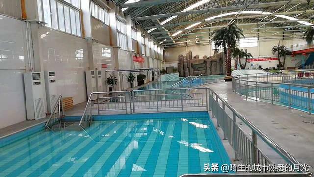 今日博白县中猪价格-博白县今天猪价