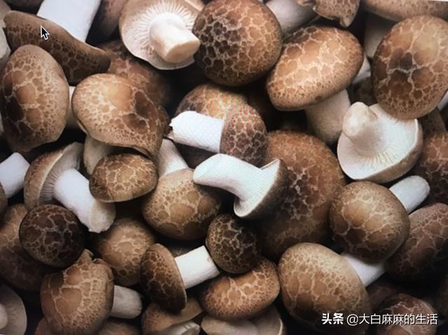 香菇酱-香菇酱的家庭制作方法