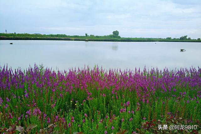 张掖嘉峪关旅游路线攻略， 张掖嘉峪关旅游路线攻略图