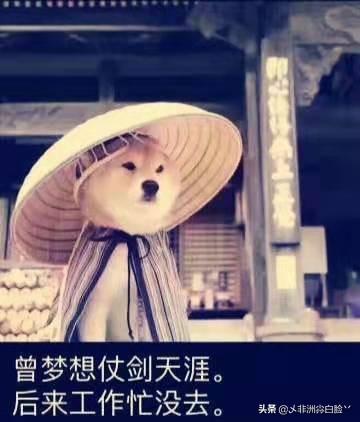 倾尽天下之乱世繁华最后的结局怎样了？