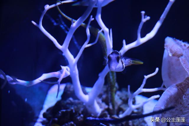 海外生活怎么拍照，海外生活怎么拍照片