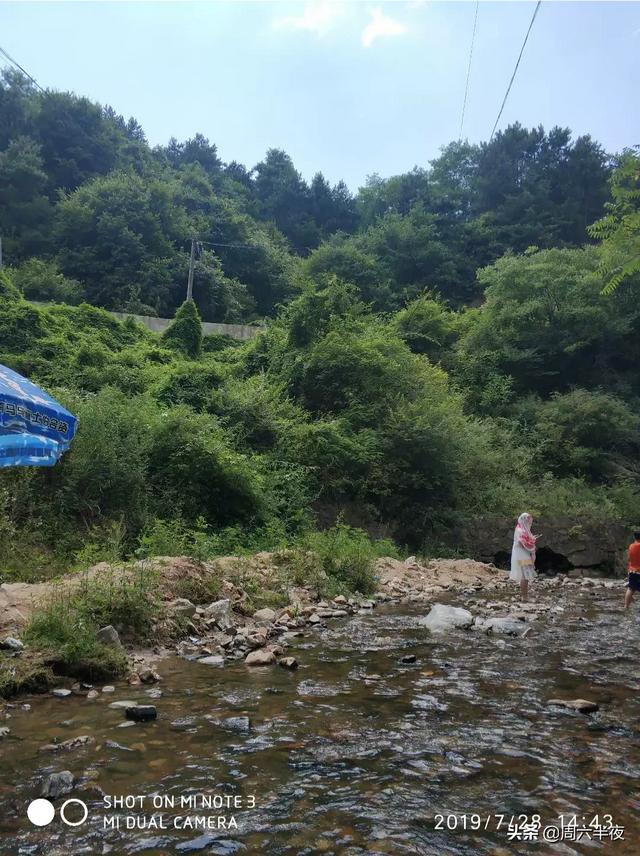 山地种植什么可以赚钱呢 山地种植什么药材好赚钱？