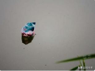 幼儿动物故事简短（幼儿动物故事三分钟以内简单）