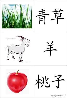 请问三年级孩子识字能力差，学过的生字老忘记，怎么办？