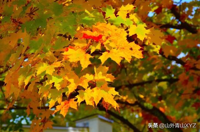 周末去哪旅游,周末去哪旅游比较好