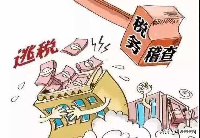 年度税务登记证审查的目的与意义，年度税务登记证审查的目的与意义是什么