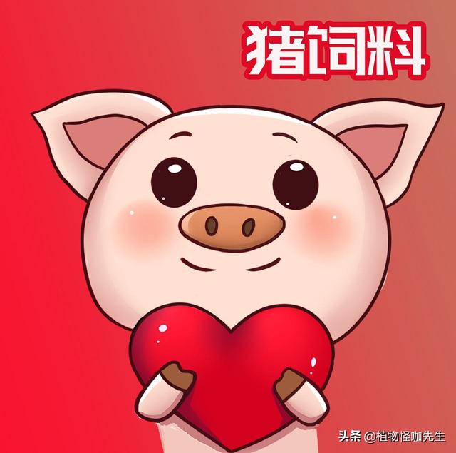 对于产品饲料-对于产品饲料的认识