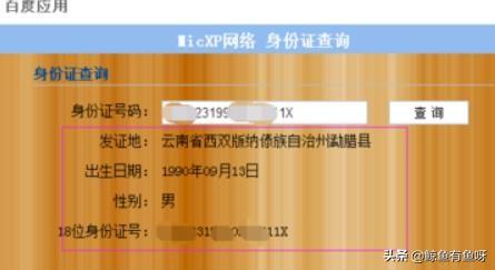 公安个人信息查询系统，公安个人信息查询系统官网app