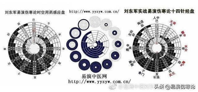 医圣（医圣是指哪位）